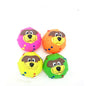 Pet dog toy ball