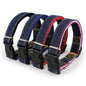 Pipitao Dog Leash Pet Supplies