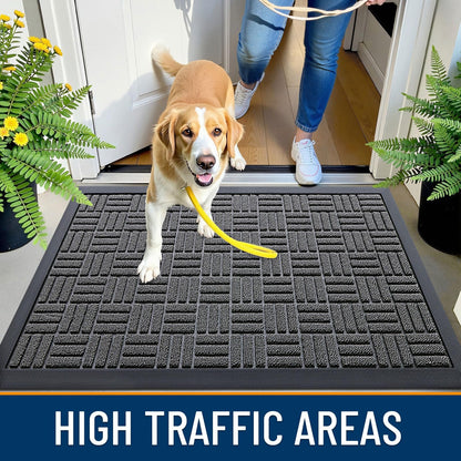 Front Door Mat Outside Entrance 29.5x17, Absorbent, Heavy Duty Sturdy Natural Ru