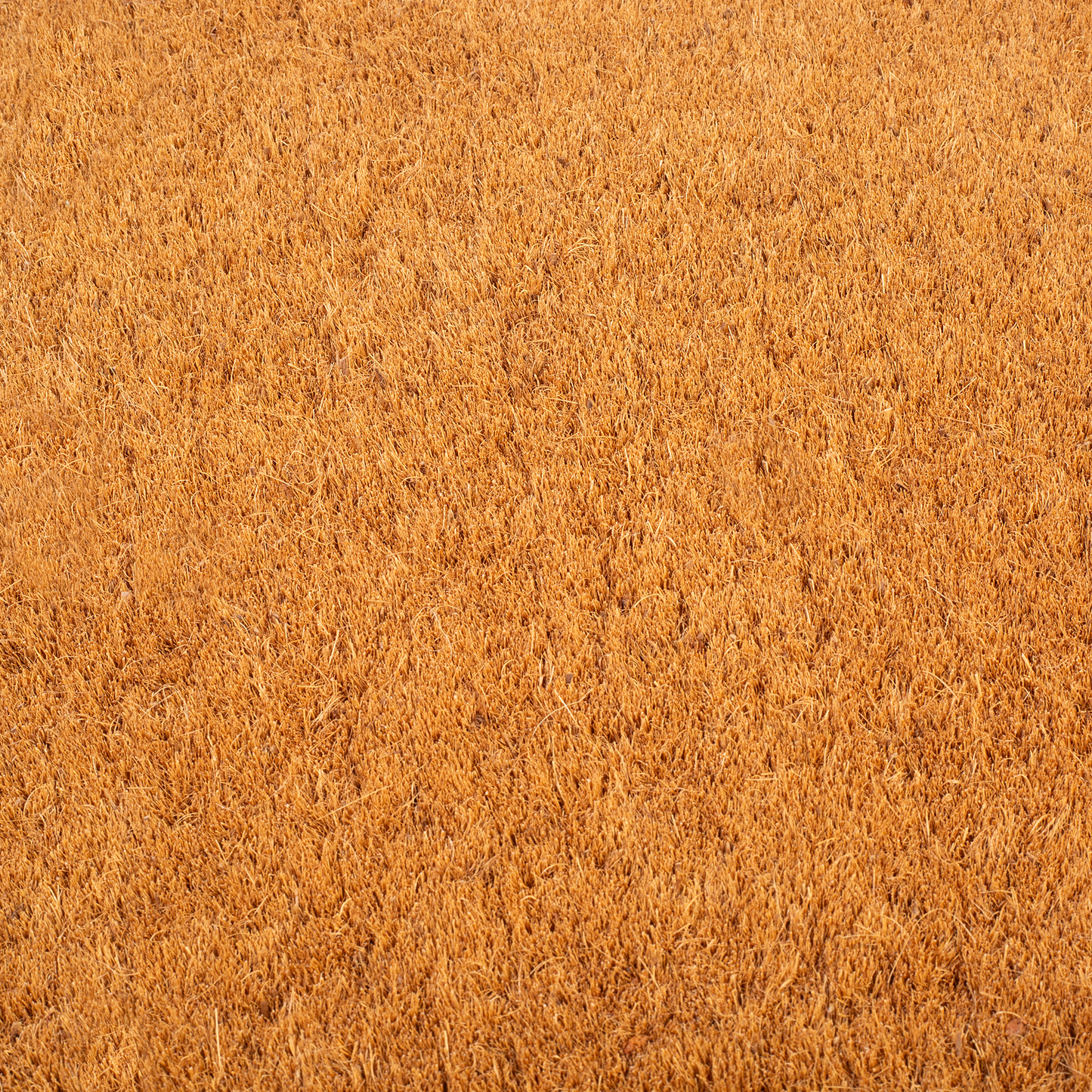 Black Border Coir Doormat