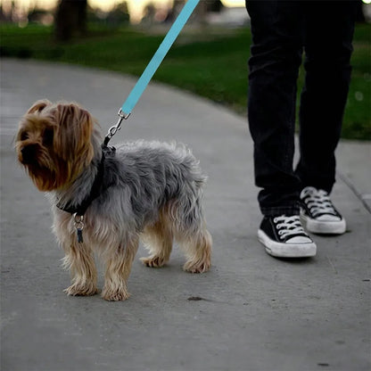 Pet Car Belt For Dogs And Cats Retractable Backseat Leash