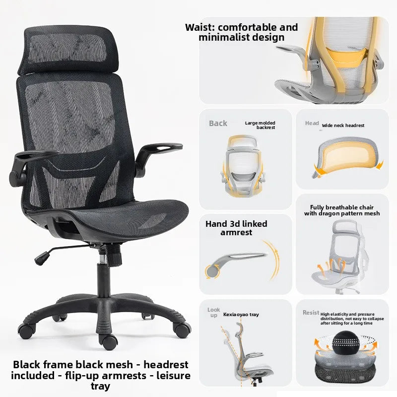 Study Chair Ergonomic Office Chair Adjustable Armrest Student Bedroom Dormitory Back Sedie Da Ufficio Household Office Supplies