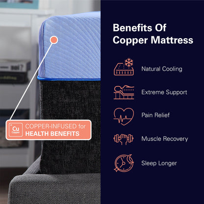12" Refresh Flex Head Hybrid Cooling Fast Responding Latex Foam & Coil Mattress