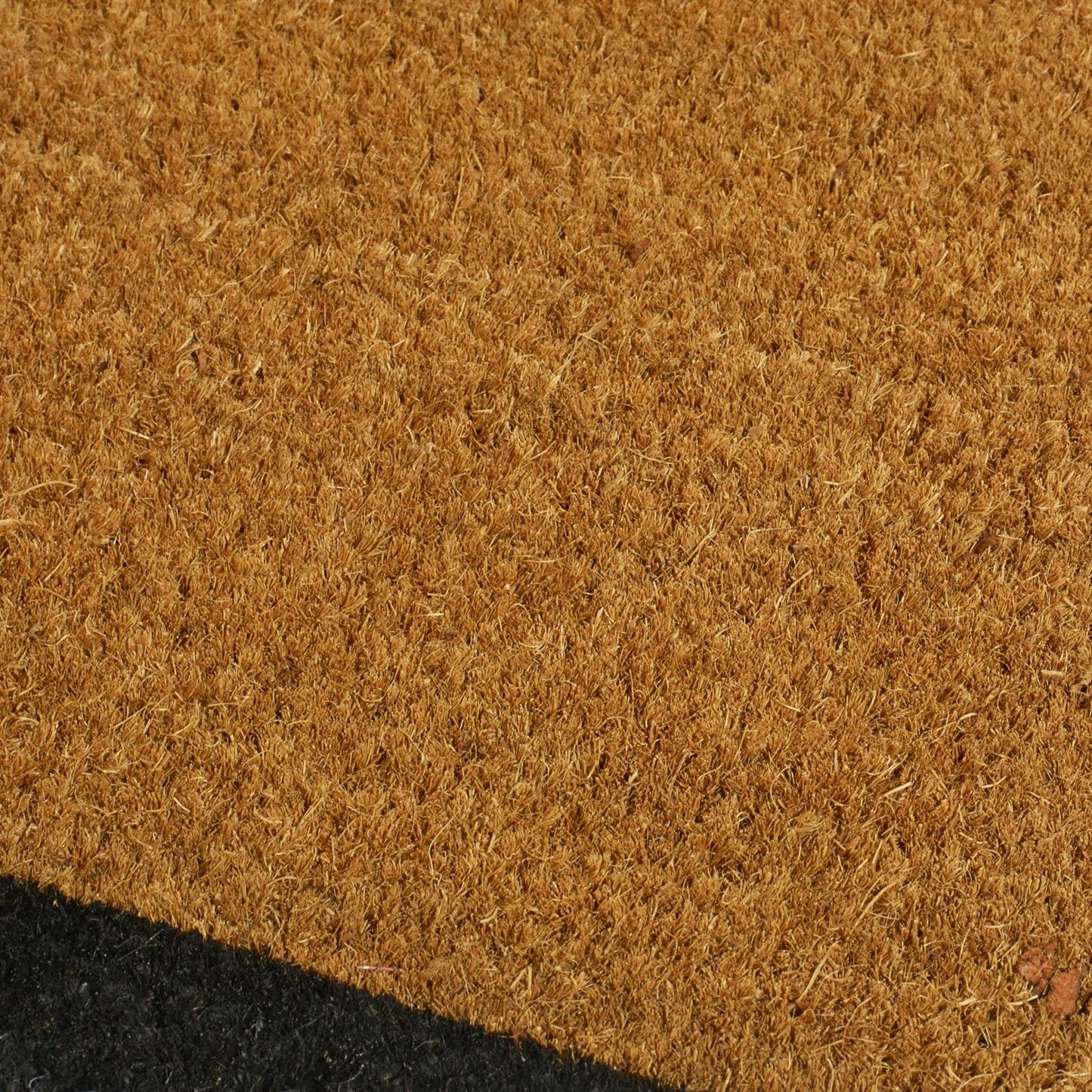 Black Border Coir Doormat