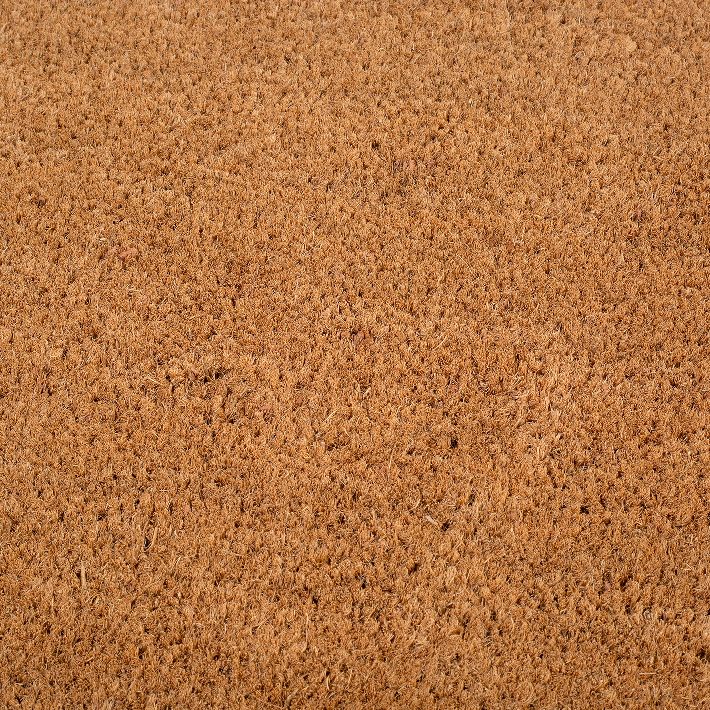 Black Border Coir Doormat