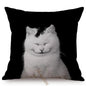 Modern Black And White Animals Portrait Photography Of Lion Zebra Elephant Tiger Pattern Sofa Pillow Cover Home Decor Square Cushions Cover 45x45cm
